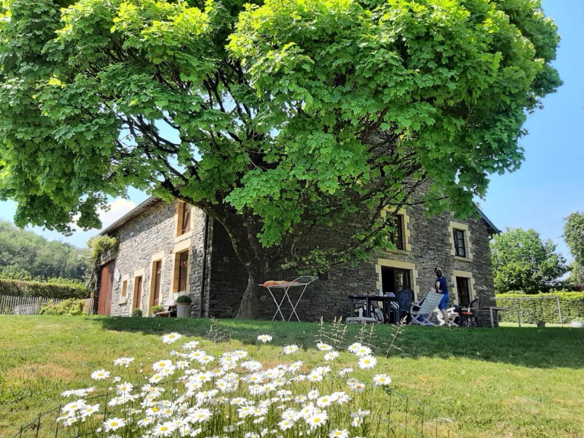 La Maison Des Marguerites Vresse-sur-Semois Eksteriør bilde