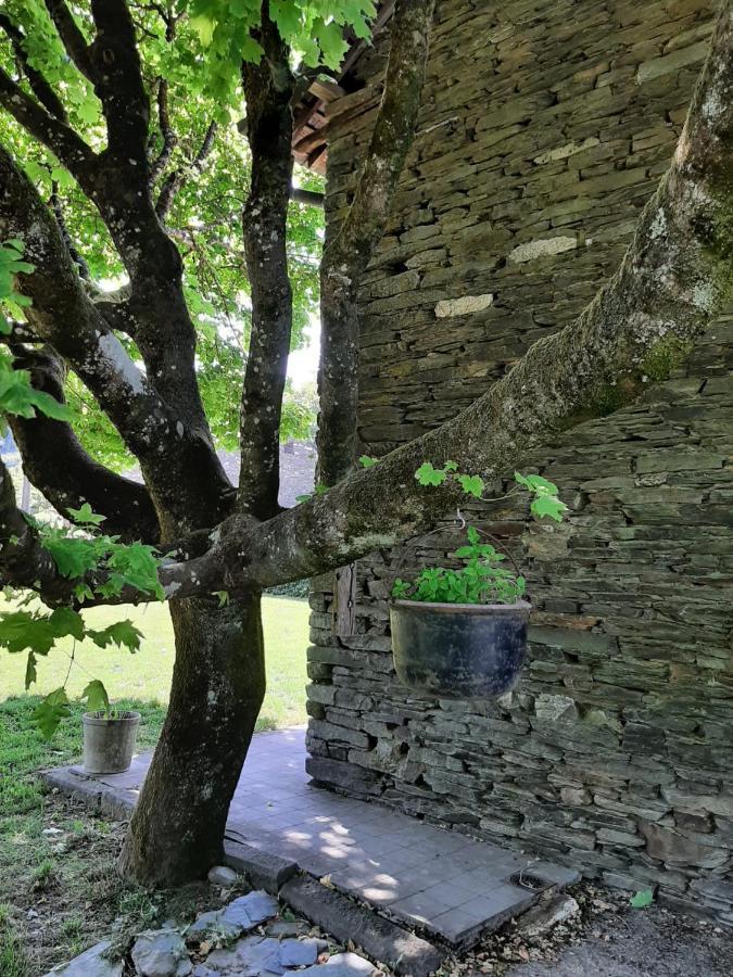 La Maison Des Marguerites Vresse-sur-Semois Eksteriør bilde