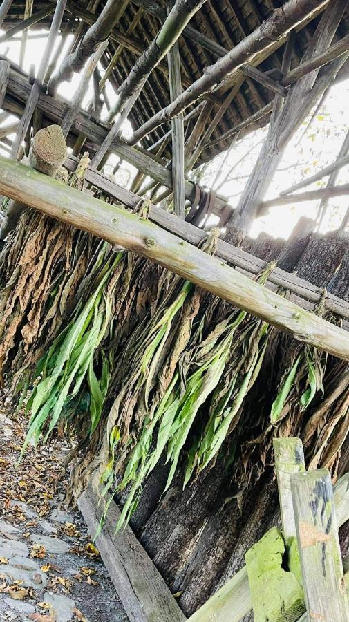 La Maison Des Marguerites Vresse-sur-Semois Eksteriør bilde